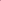 Botanical Paisley Pink